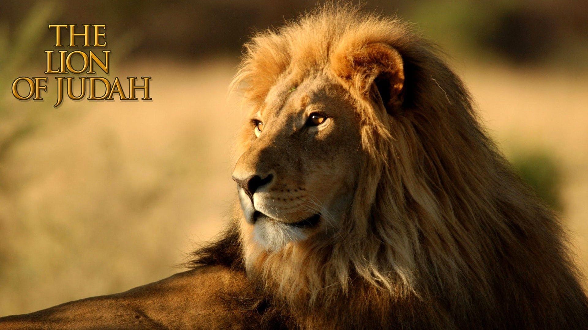 Gathering of Israel through Judah