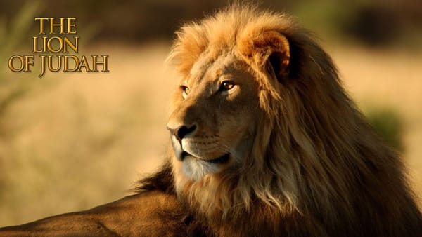 Gathering of Israel through Judah